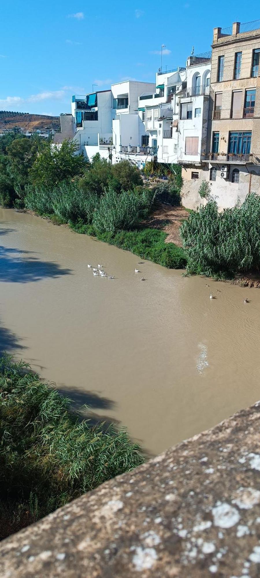 דירות פוואנטה חניל El Patio De La Cris מראה חיצוני תמונה